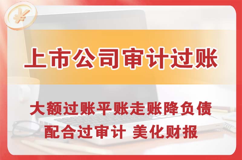 潞城上市公司审计过账